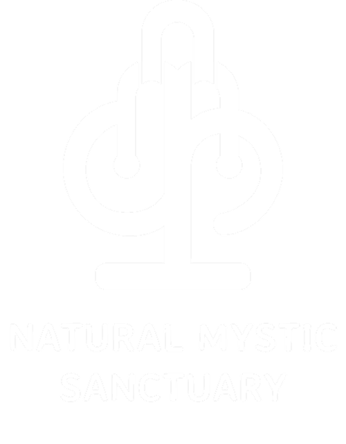 NMS Logo
